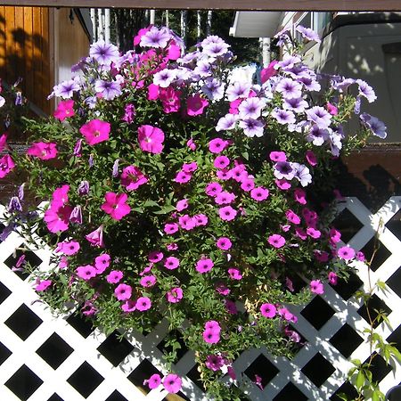 Silvern Lake Trail Bed And Breakfast Smithers Bagian luar foto