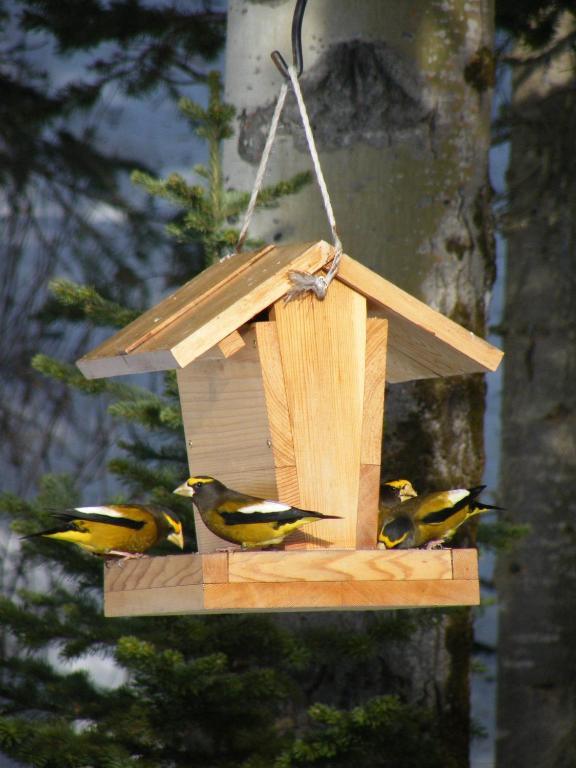 Silvern Lake Trail Bed And Breakfast Smithers Bagian luar foto